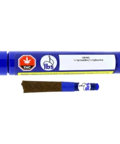 Laid Bacc Infused Blunt Single Indica 37.6% | 5.20% Terps