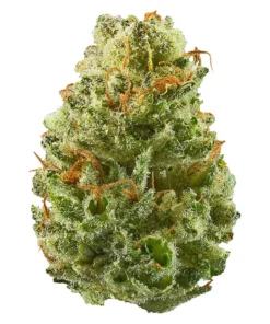 Strawberry Cough 7g Sativa 27.4%