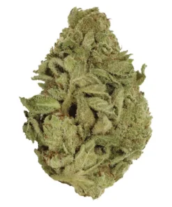 Big Pleasures 28g Sativa 25.6% | 4.70% Terps