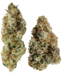 Yin Yang 14g Hybrid Sticky Glove 31.8% | Chocolope OG 32.1% Sticky Glove 3.21% Terps | Chocolope OG 4.00% Terps