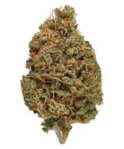 Citroli 14g Sativa 27.7% | 4.01% Terps