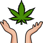 metrozendispensary